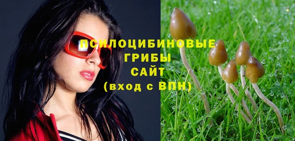 спиды Няндома