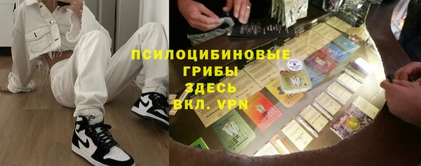 спиды Няндома