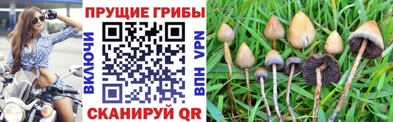 Галлюциногенные грибы мухоморы Красавино