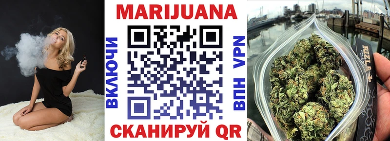 Бошки Шишки планчик  закладка  Красавино 